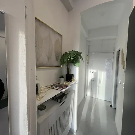 Centre Sur Avenue Jean Medecin A 8 Minutes De Marche Apartment *