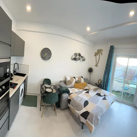 Centre Sur Avenue Jean Medecin A 8 Minutes De Marche Apartman
