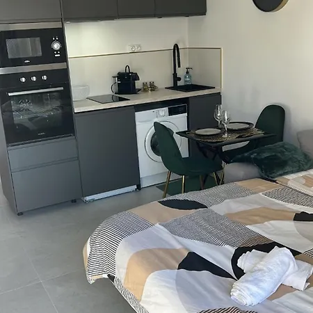 Centre Sur Avenue Jean Medecin A 8 Minutes De Marche Apartment