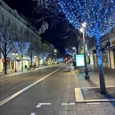 Centre Sur Avenue Jean Medecin A 8 Minutes De Marche *