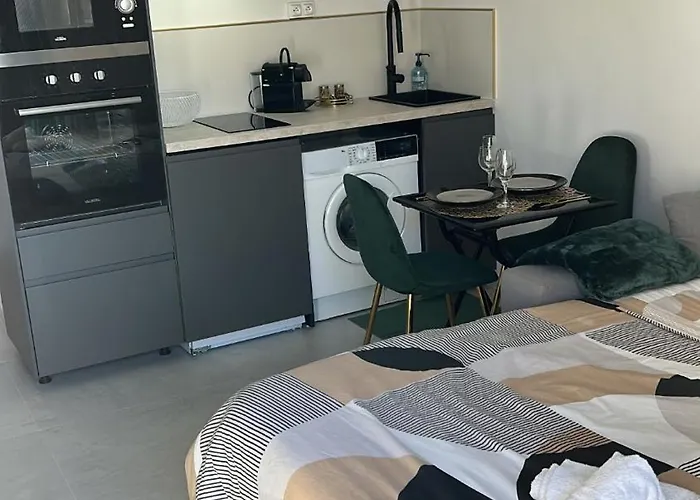 Centre Sur Avenue Jean Medecin A 8 Minutes De Marche Appartement